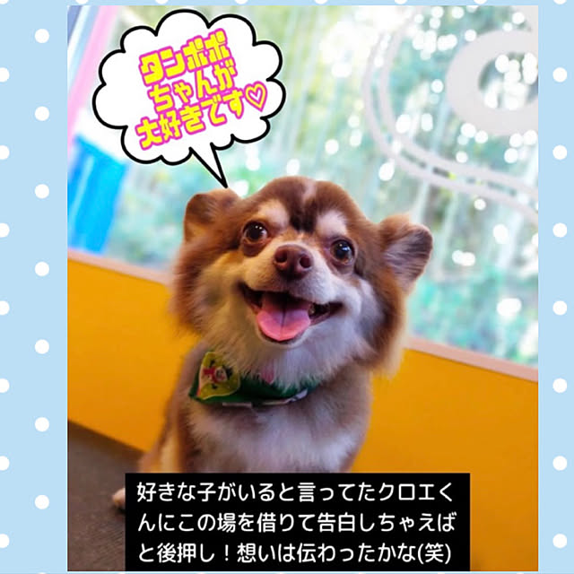 chIoeさんの実例写真