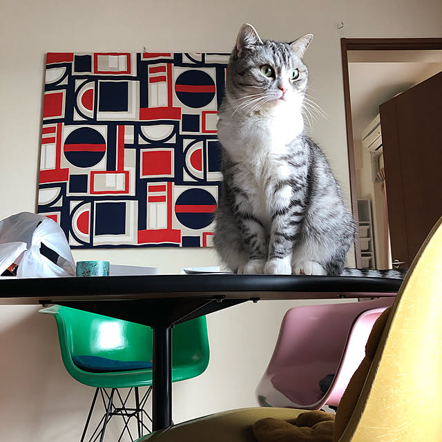 Shojiさんの実例写真