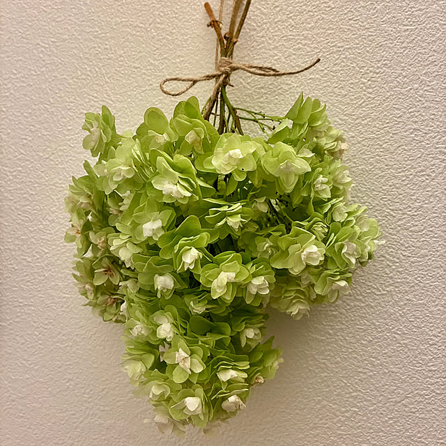 sasasaさんの部屋