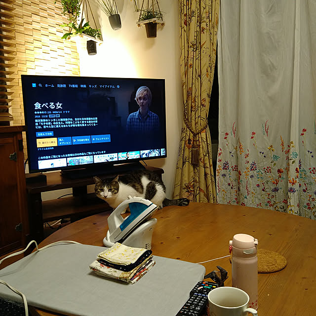 okyosan101さんの実例写真