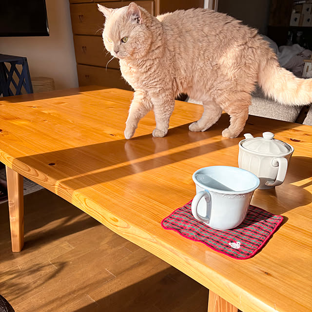 naokoさんの部屋