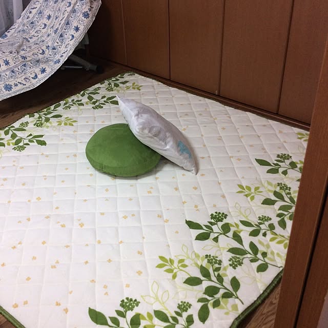 ayanebulaさんの実例写真