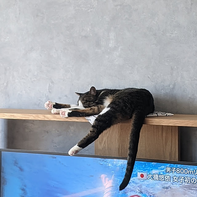 misoさんの実例写真