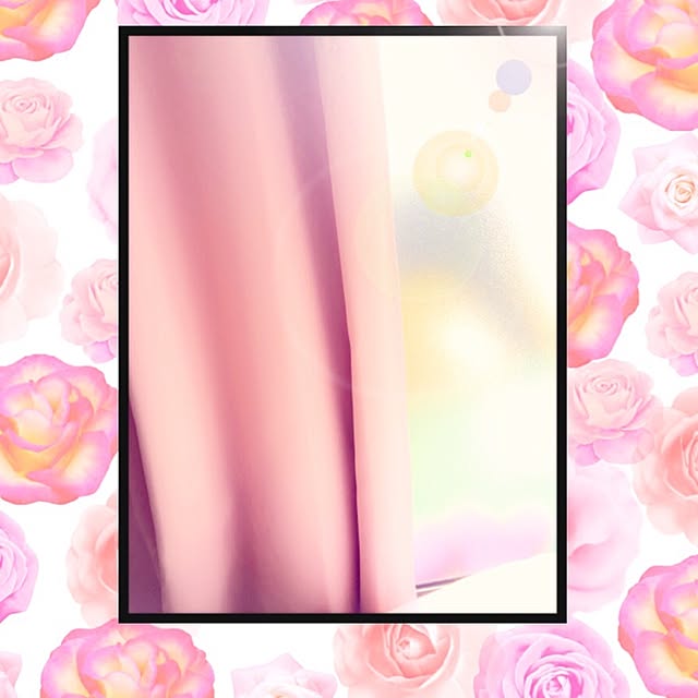 Misatoさんの実例写真