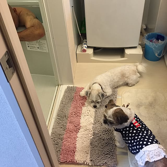 emiさんの実例写真