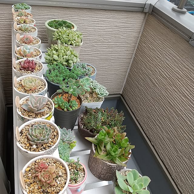 meiさんの部屋