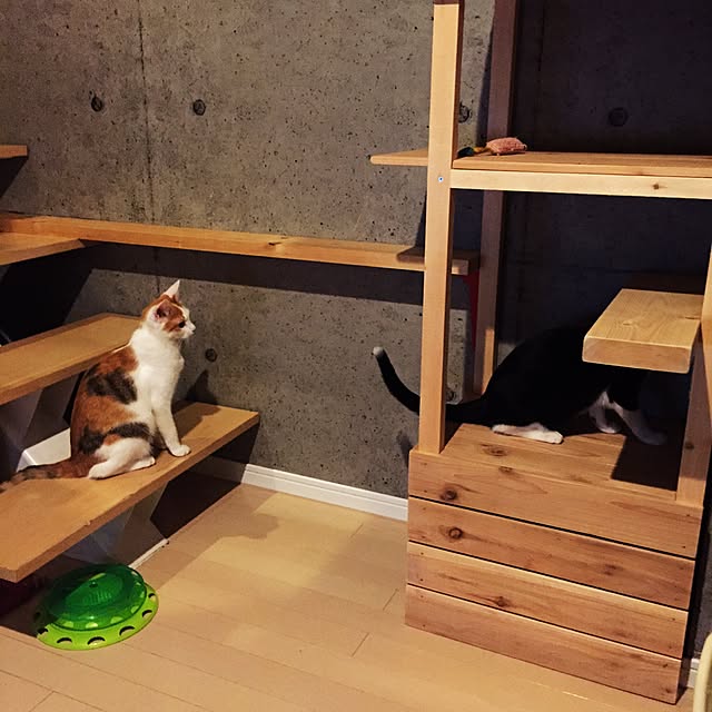 ziziguguさんの実例写真