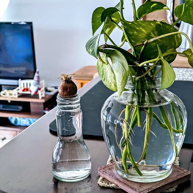 mi-saさんの部屋