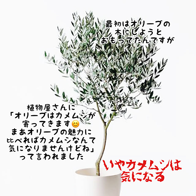 nukochiさんの実例写真