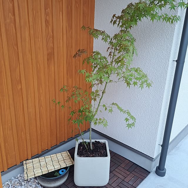 tammyさんの実例写真
