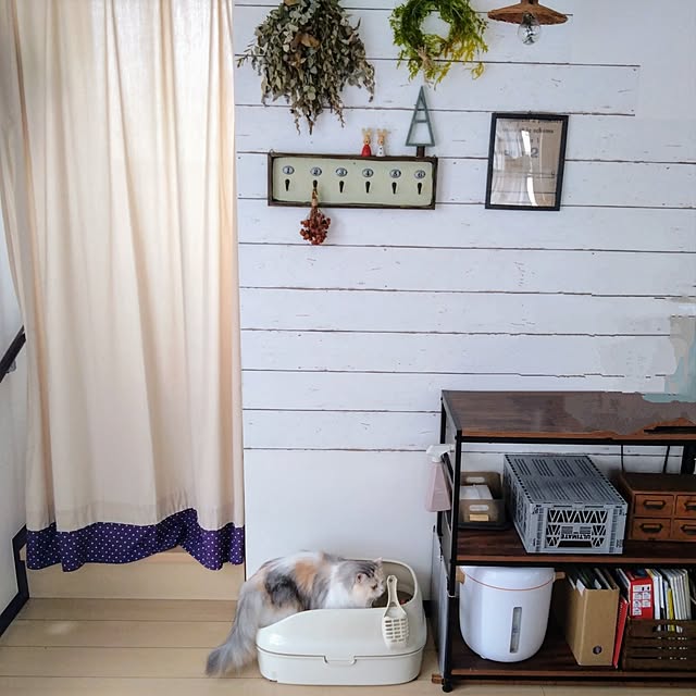 hiromi0302さんの部屋