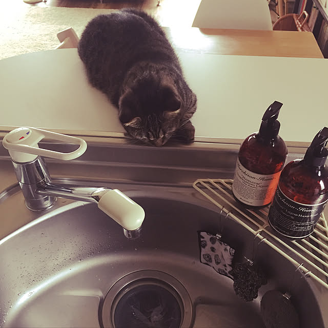 nocomomさんの実例写真
