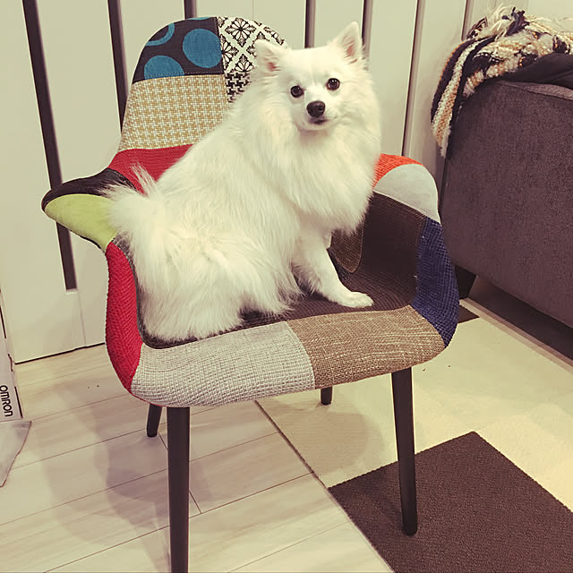 mariさんの実例写真