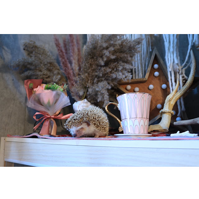 Chikakoさんの部屋