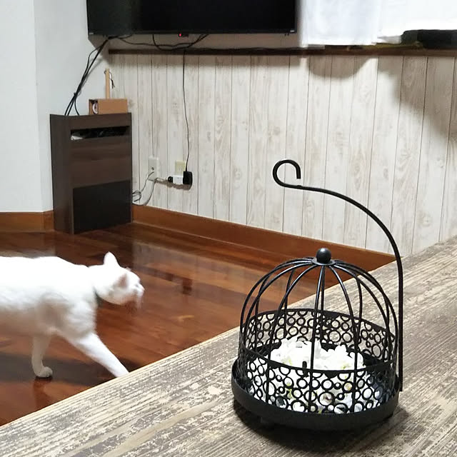 gabさんの実例写真