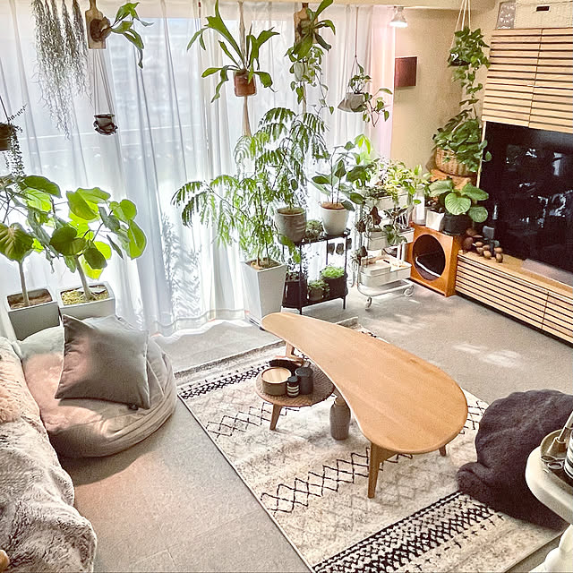 ニトリ テレビボードセット(シーマ150 NA/60キャビネット上置き ニトリ テレビボードセット(シーマ150 NA/60キャビネット上置き
