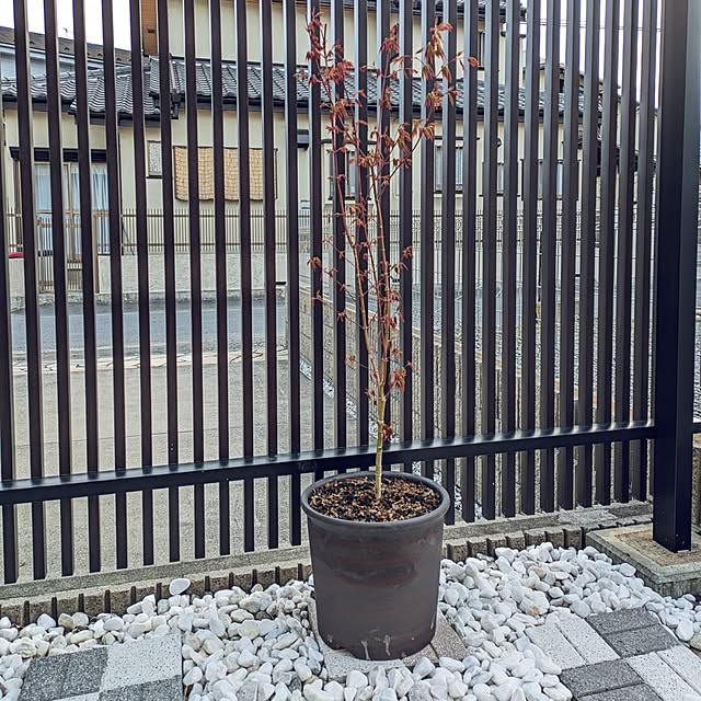 tomoさんの部屋