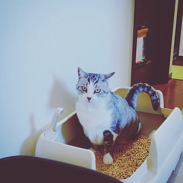mntcさんの実例写真