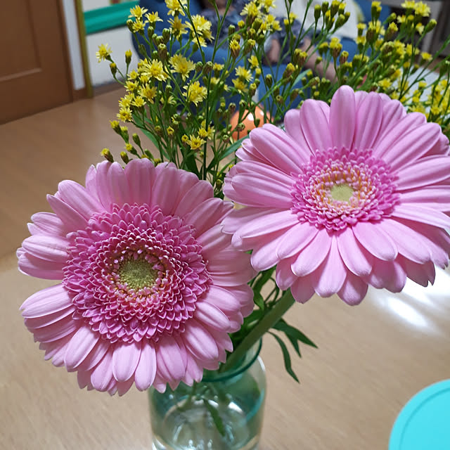 実例写真