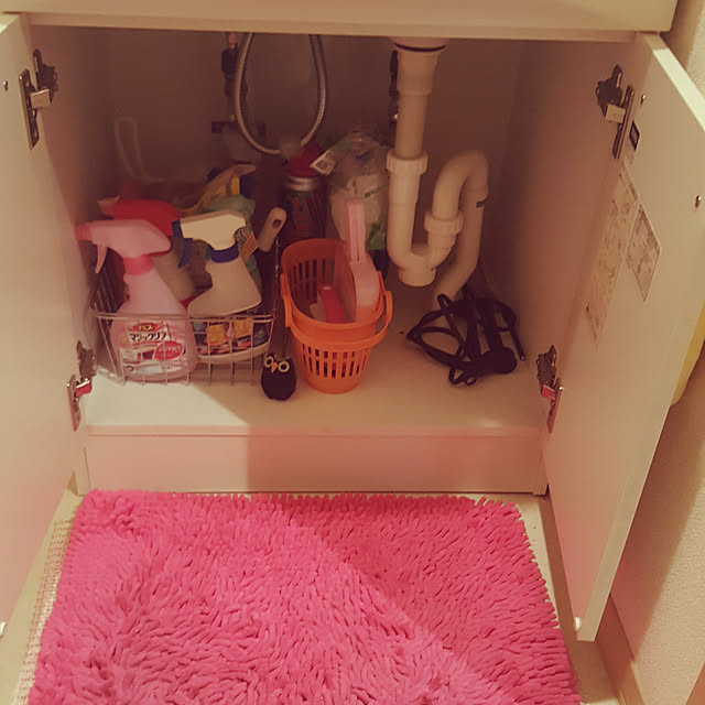 rviさんの実例写真