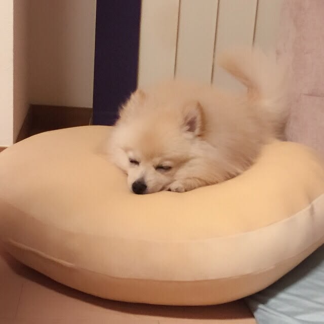 akkoさんの実例写真