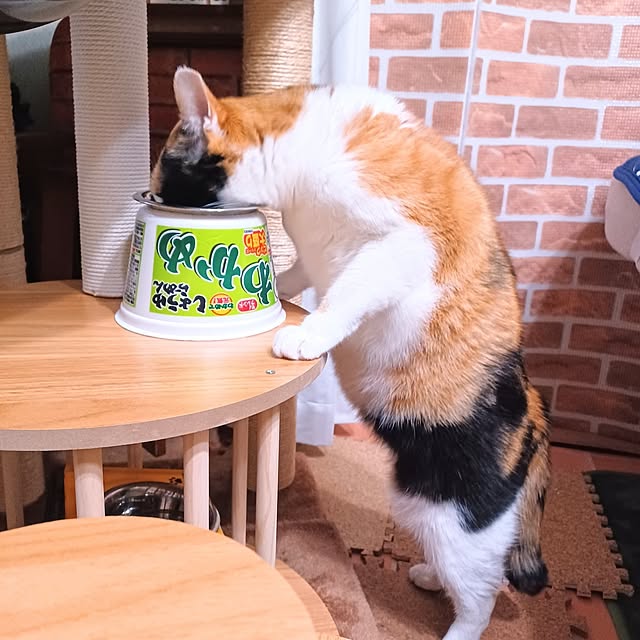 nanaさんの部屋