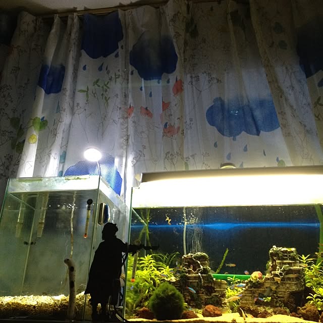 shishaさんの実例写真