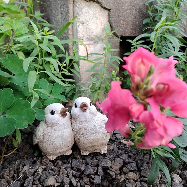 kiraさんの実例写真