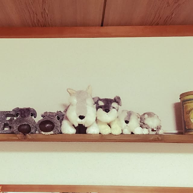 syunaさんの実例写真