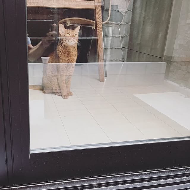 ringonecoさんの実例写真