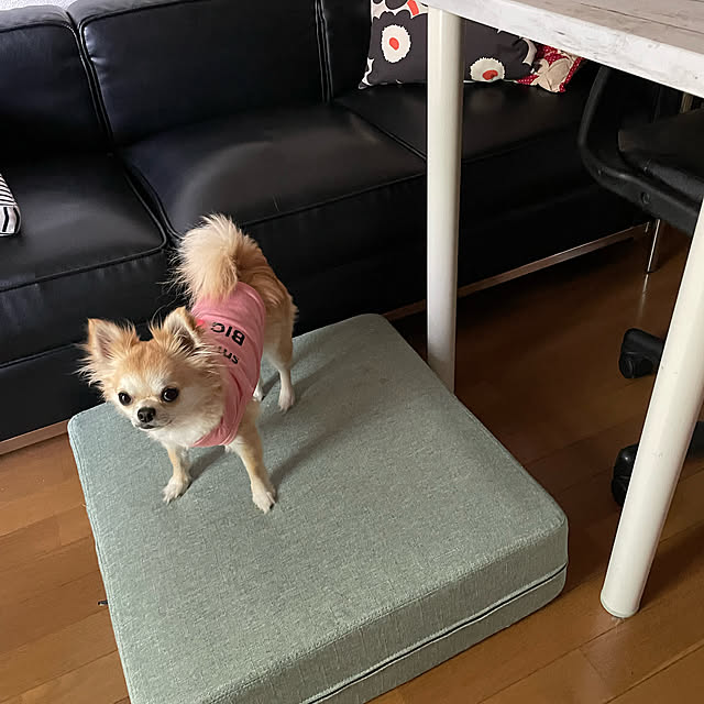 natsumiさんの実例写真