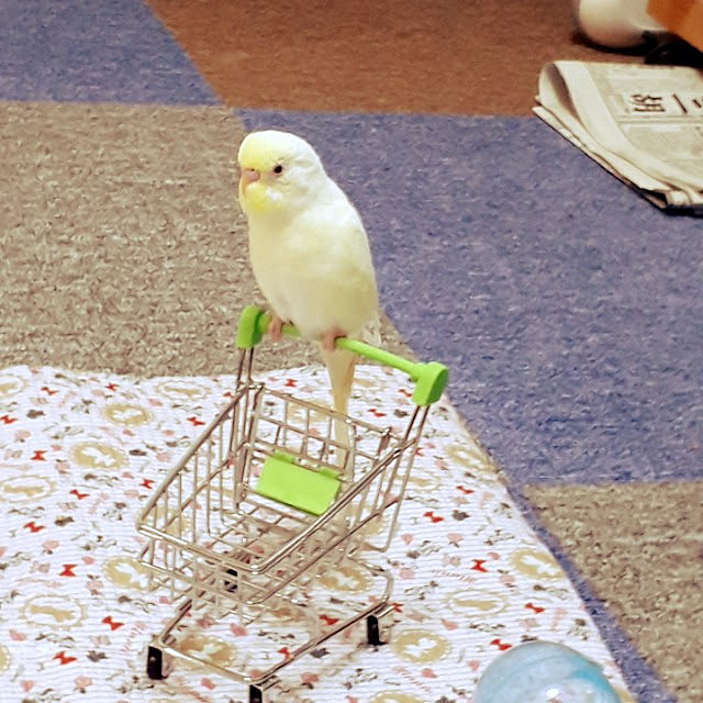 blueさんの実例写真