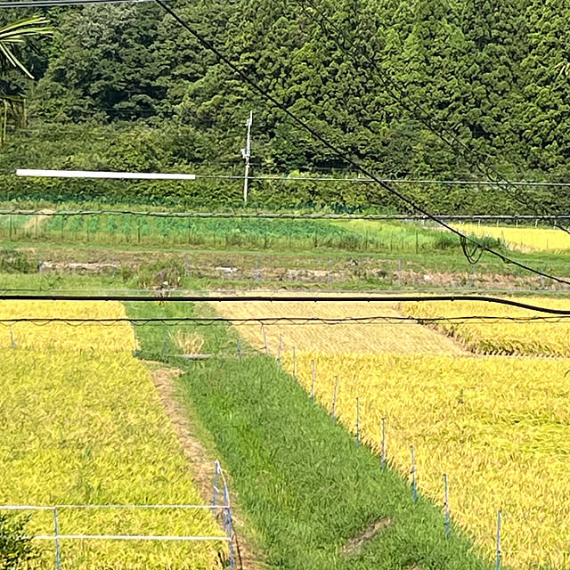 cota2さんの部屋
