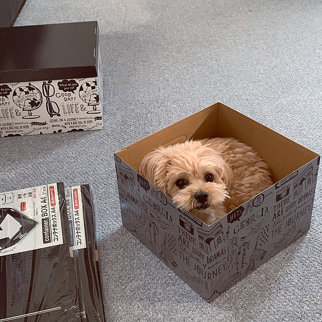 ikt.tamaさんの実例写真