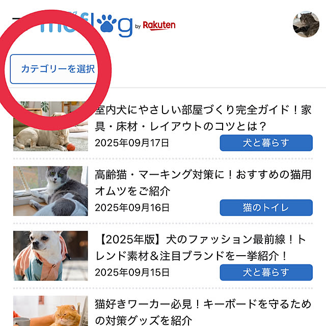 nene6さんの実例写真