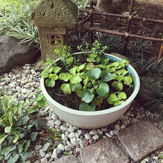 hanapinさんの実例写真