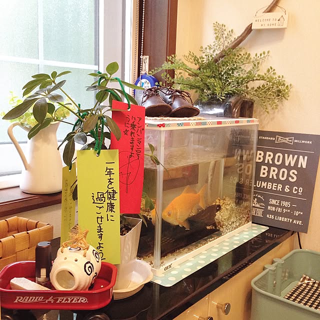 fish.さんの実例写真