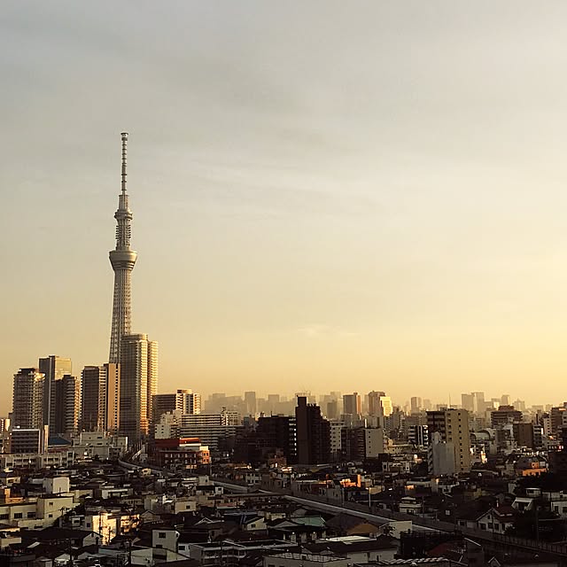 実例写真