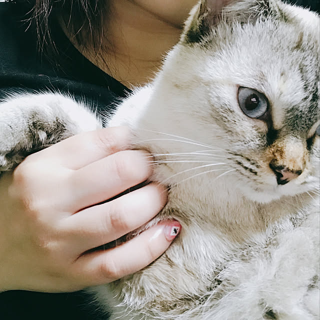 nachuさんの実例写真