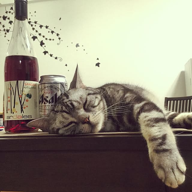 Ryokoさんの実例写真