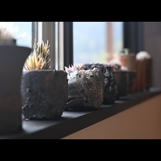 Taiyo_smさんの実例写真