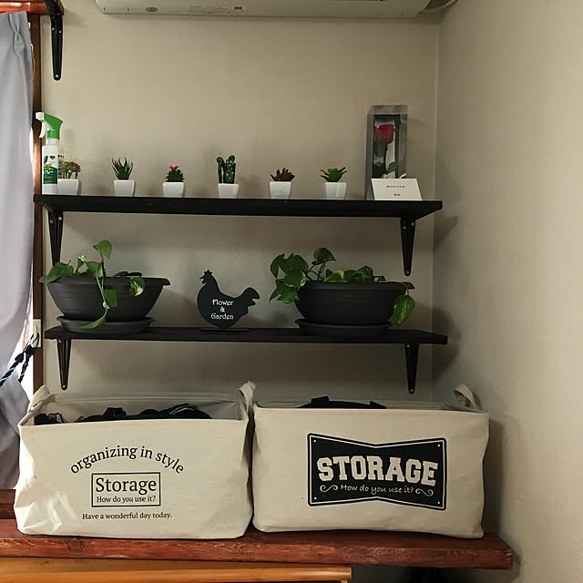 棚/観葉植物/DIY/ダイソー/100均のインテリア実例 - 2017-06-11 06:57:19