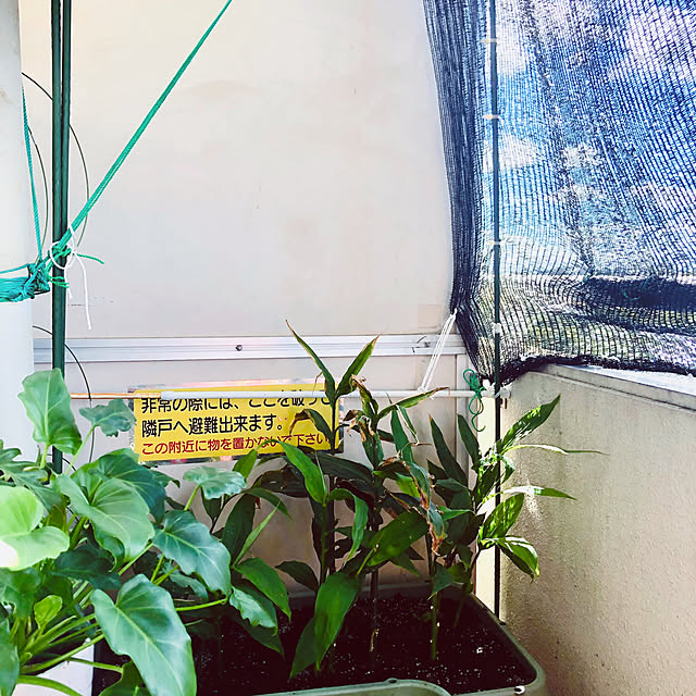 hanachanさんの実例写真