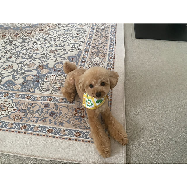 _rm_さんの実例写真