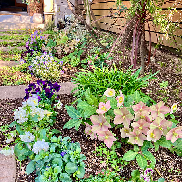 green.green.greenさんの部屋