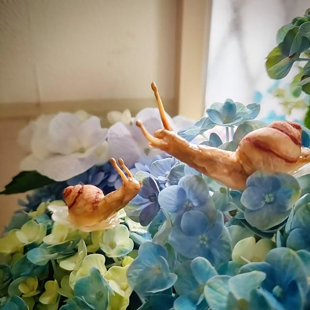 teamoさんの部屋