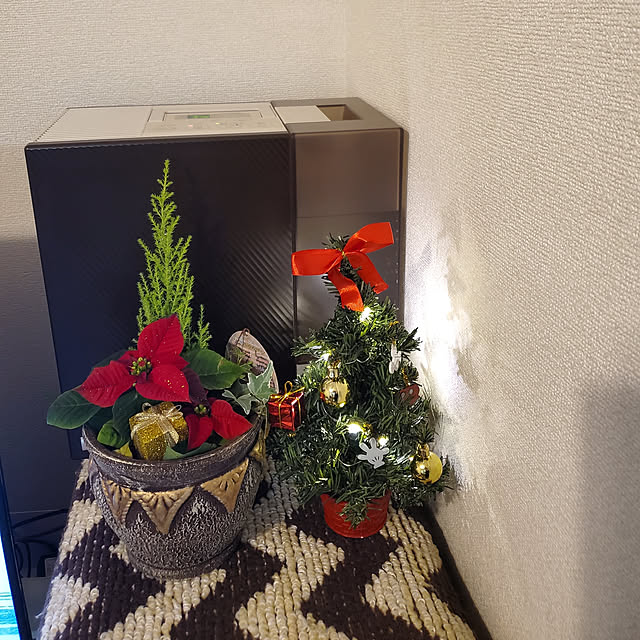 korokoroさんの実例写真