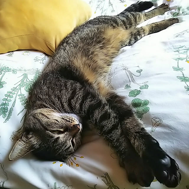 weさんの実例写真