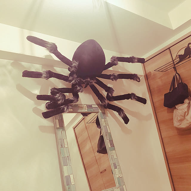 tamaraさんの実例写真