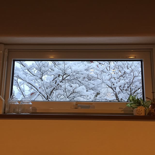 yuさんの実例写真